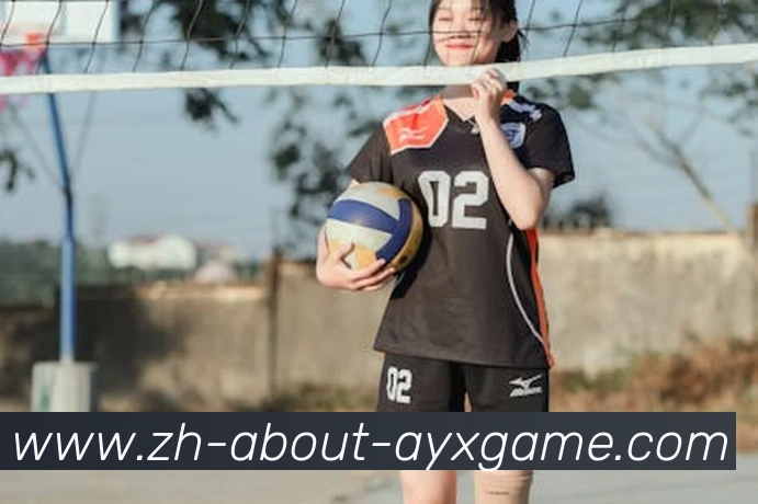 多媒体互动体验