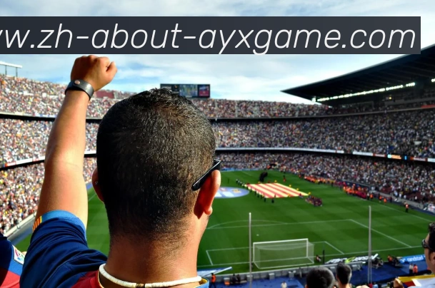 爱游戏APP 体育赛事宣传图